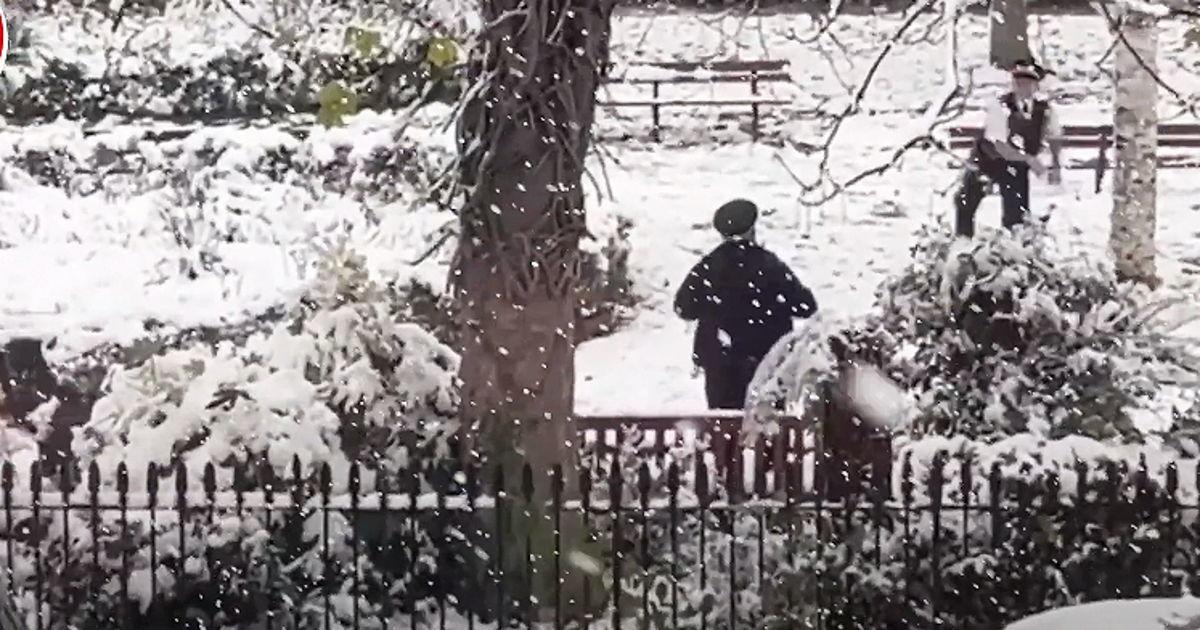 Des agents de police suscitent des critiques en faisant une bataille de boules de neige dans un parc