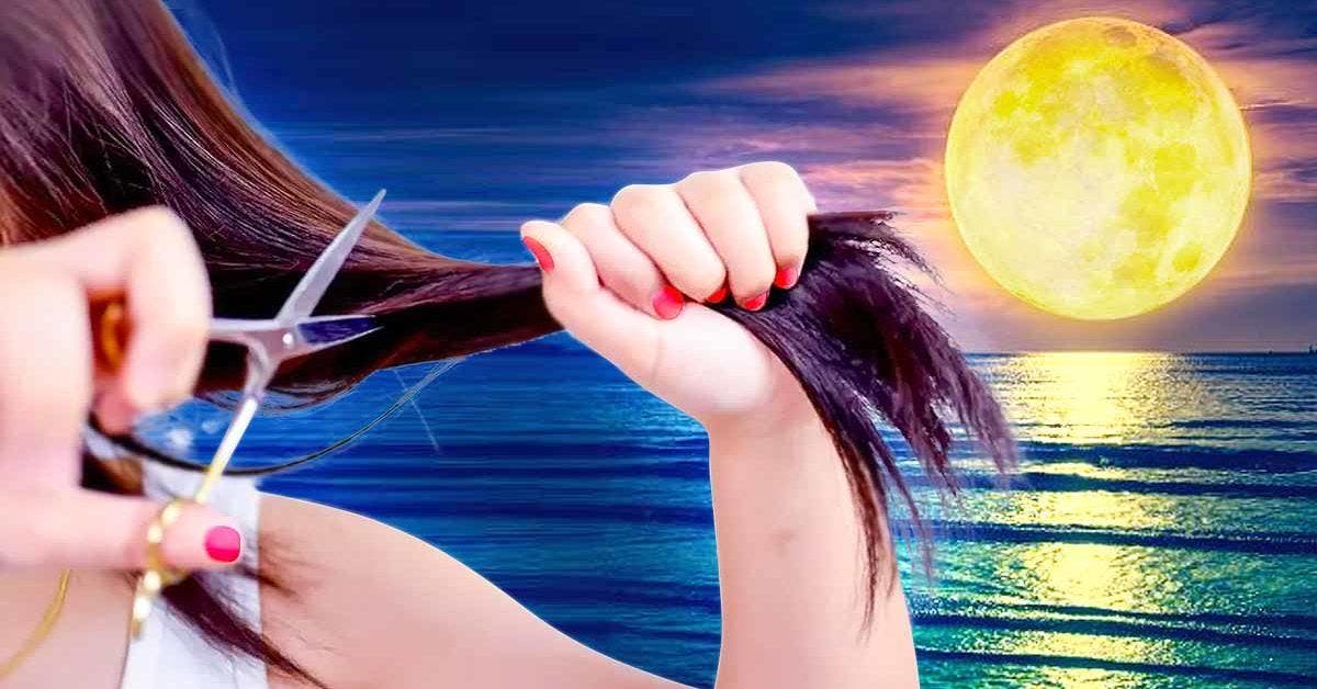 Calendrier lunaire des coiffures pour février 2023 : les meilleures dates pour une coupe de cheveux réussie