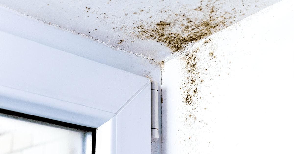 Éliminez facilement la moisissure du plafond avec un ingrédient surprenant que vous avez à la maison