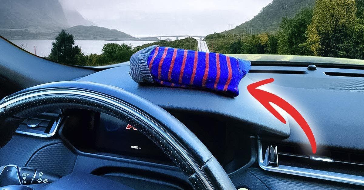 Mettez une chaussette remplie de litière pour chat dans la voiture : l’astuce géniale qui sauve