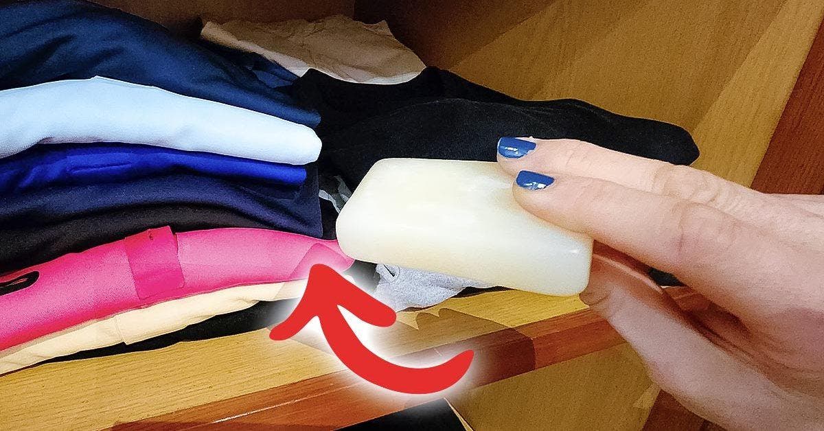 Placez une barre de savon dans vos placards : vous remarquerez immédiatement le résultat inattendu sur les vêtements.