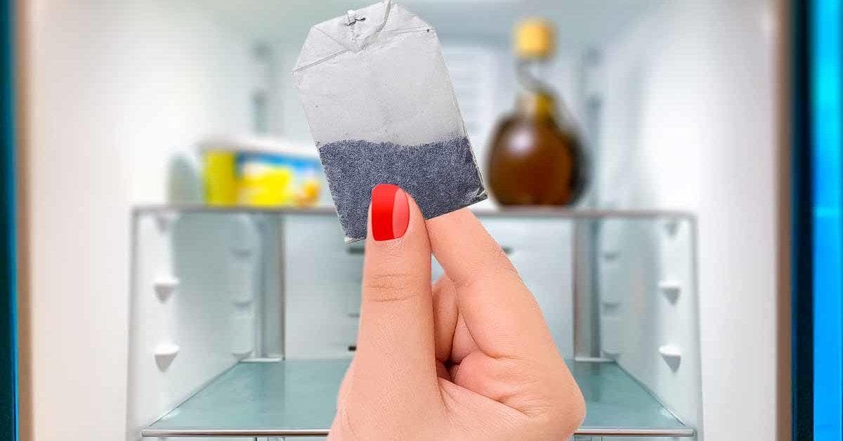 Fini les mauvaises odeurs du frigo avec un remède simple : gardez-le propre et parfumé longtemps