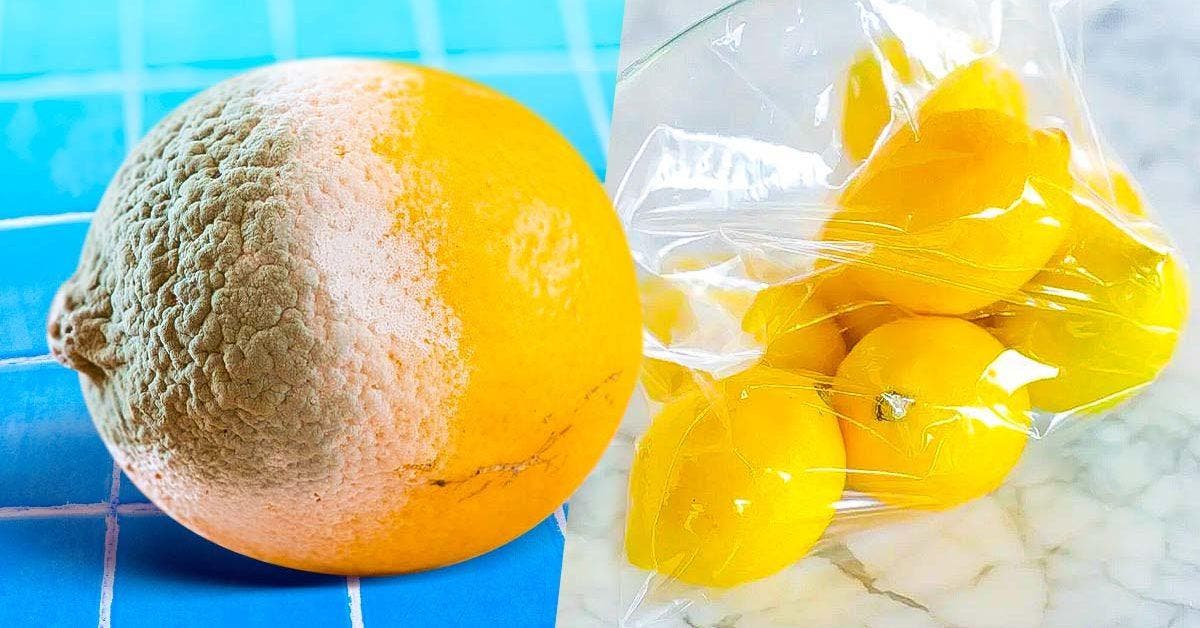 L’astuce pour conserver les citrons 1 an, plus de pourriture, inutile des les jeter