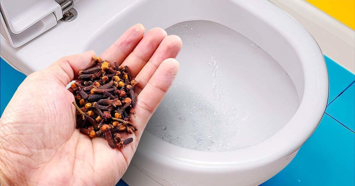 Mettez des clous de girofle dans les toilettes : C’est étonnant ce qui se passe si vous le laissez toute la nuit