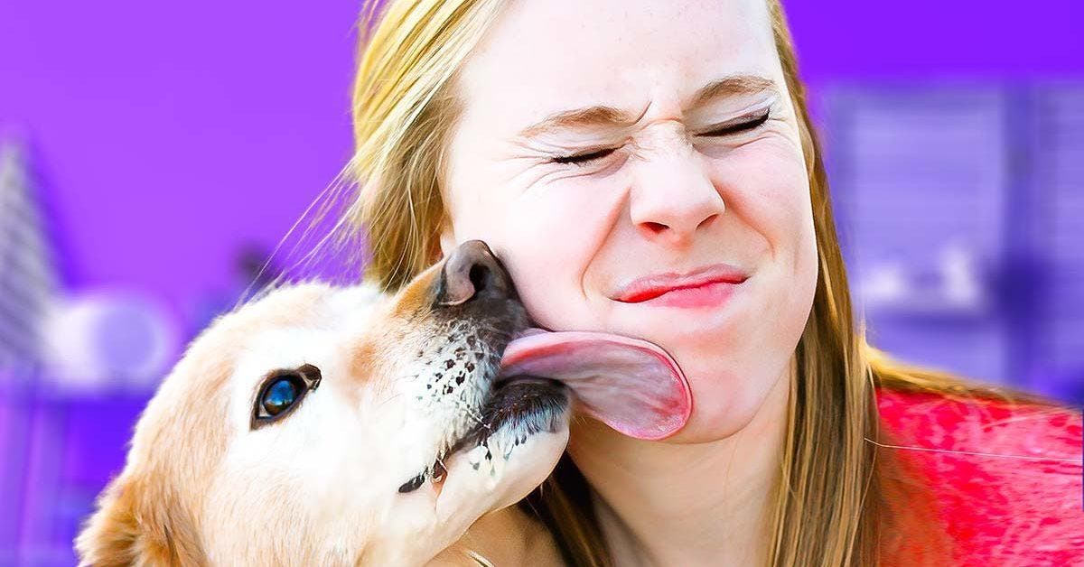 Pourquoi les chiens lèchent-ils leurs maîtres ? Ils essaient de vous dire quelque chose