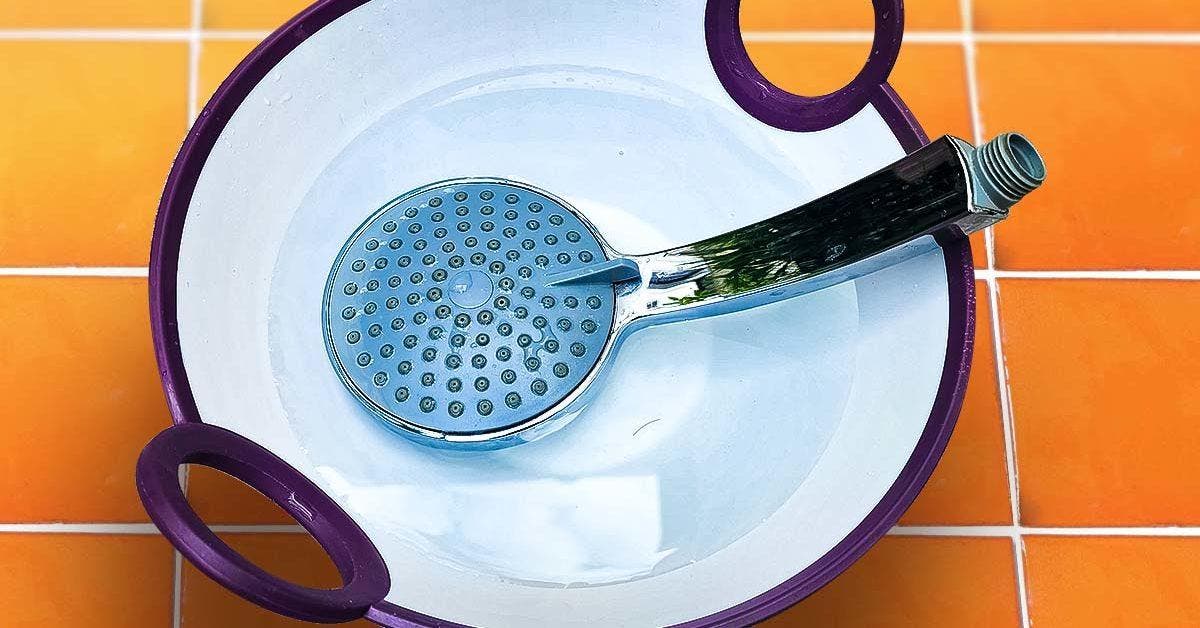 L’astuce de génie pour nettoyer le pommeau de douche : vous n’aurez plus de problème de pression d’eau