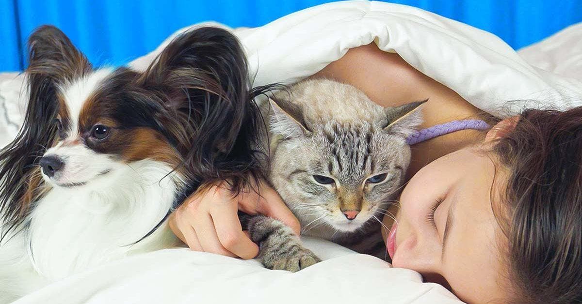 Dormir avec son chien ou son chat est une mauvaise idée : voici pourquoi