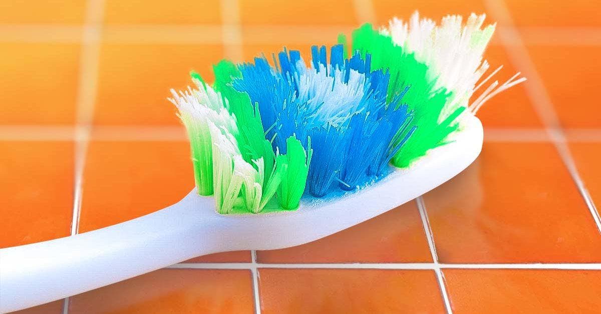 Pourquoi les brosses à dents ont-elles des poils de couleurs différentes ? Une raison méconnue, mais tellement importante