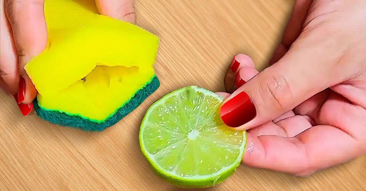 Pourquoi les ménagères futées mettent-elles du citron dans l’éponge à vaisselle ? Ça change tout