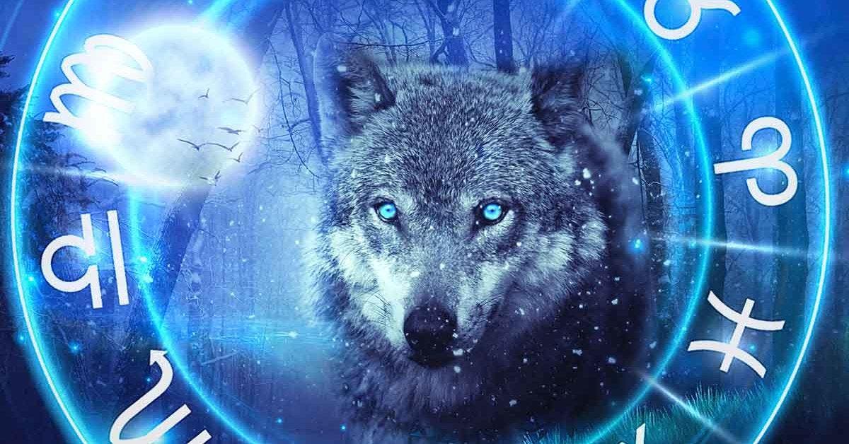 Quels signes du zodiaque sont des loups solitaires : toujours seuls contre tous