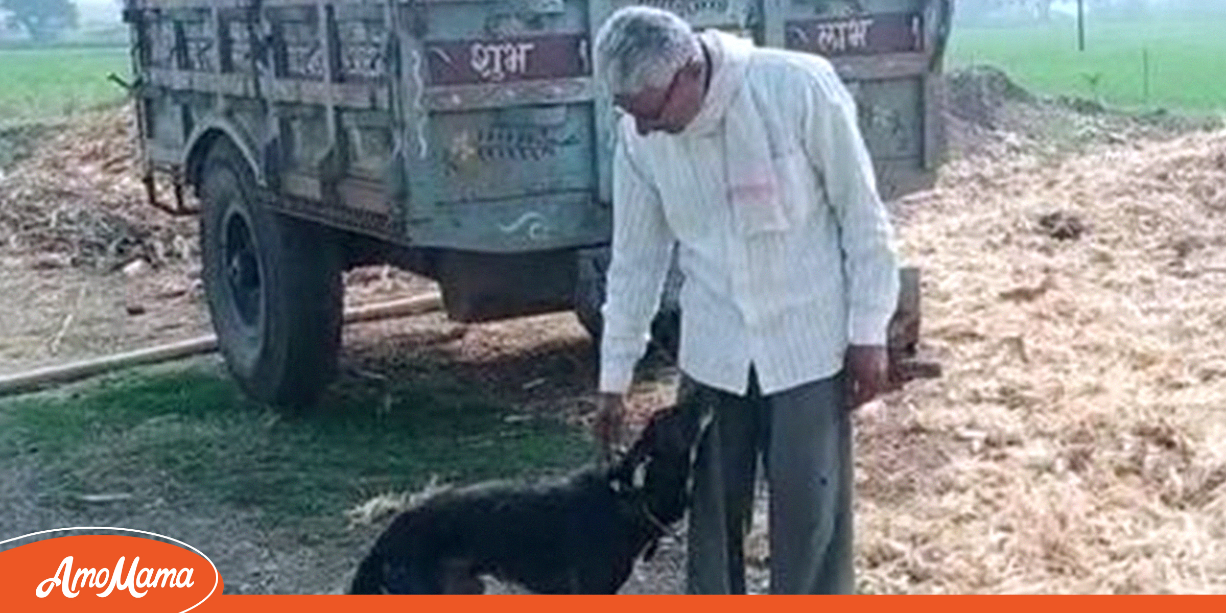 Un vieux fermier donne la moitié de son héritage à son chien – Ses enfants ne reçoivent même pas un centime