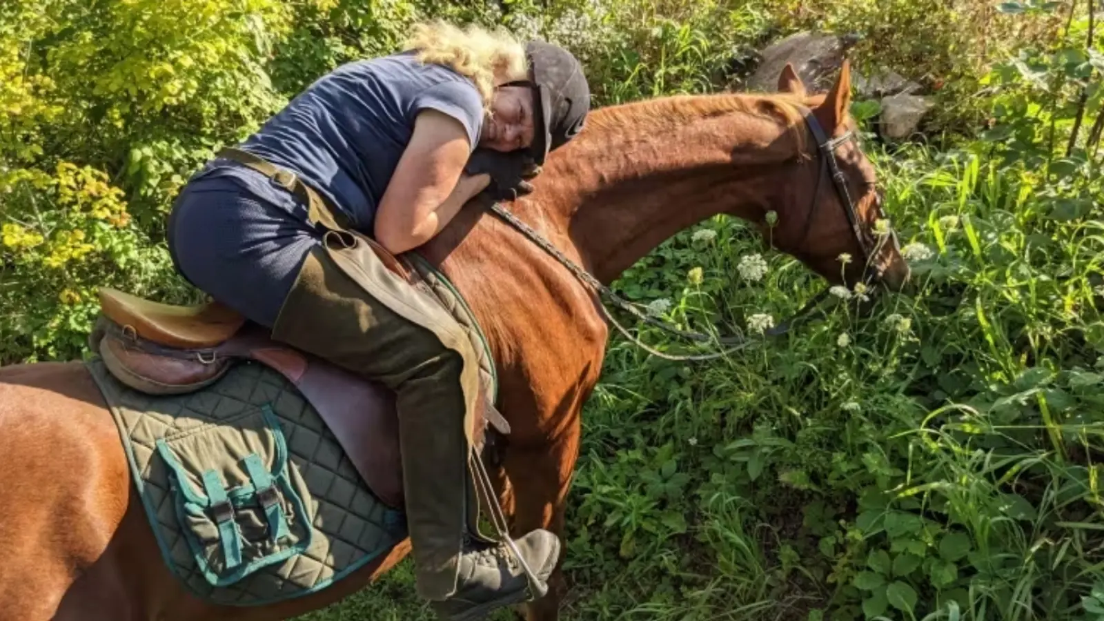 Incapable de trouver un vétérinaire, une famille québécoise obligée d'abattre son cheval bien-aimé