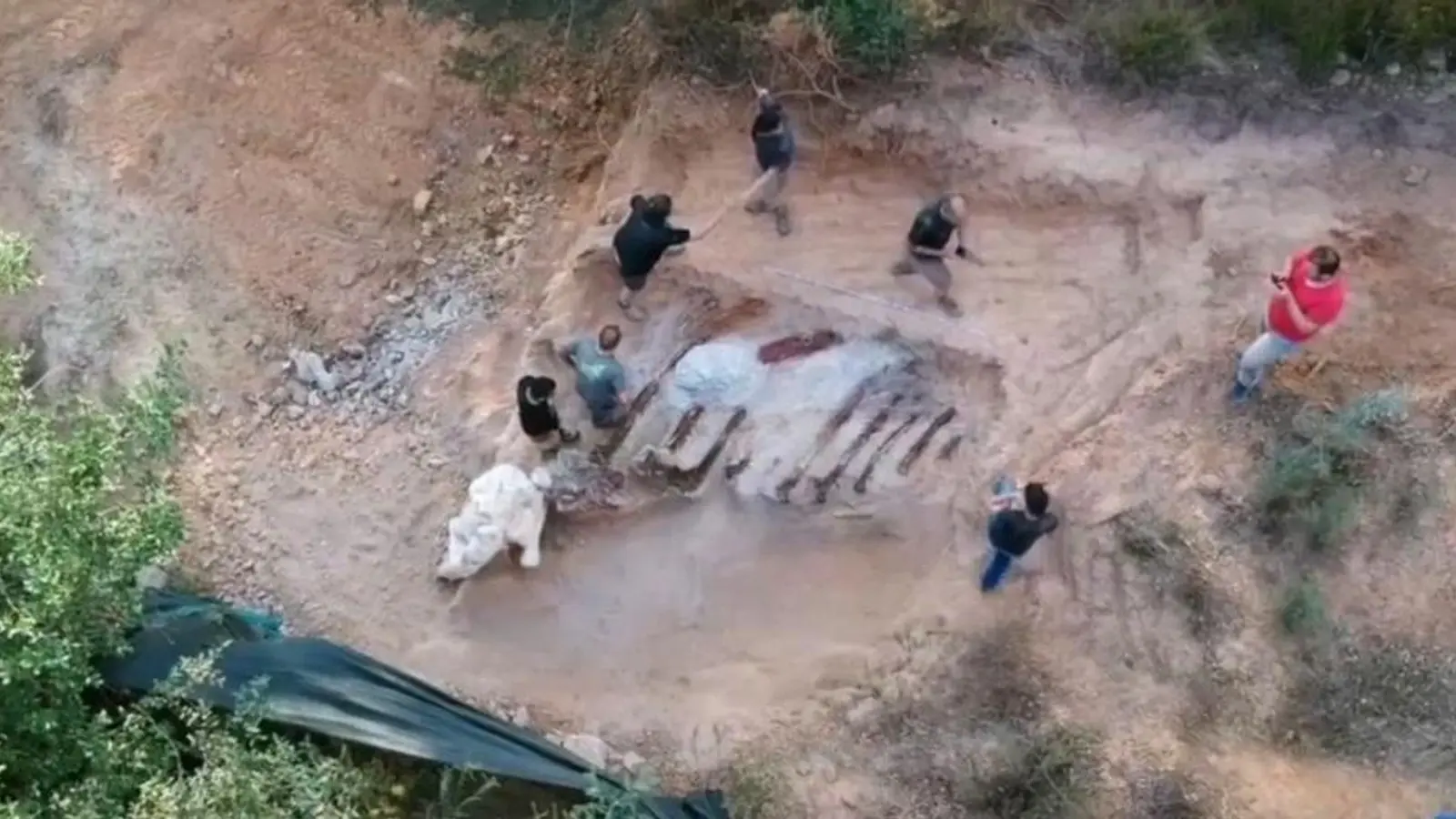 Un homme qui voulait construire un cabanon découvre un dinosaure dans sa cour arrière