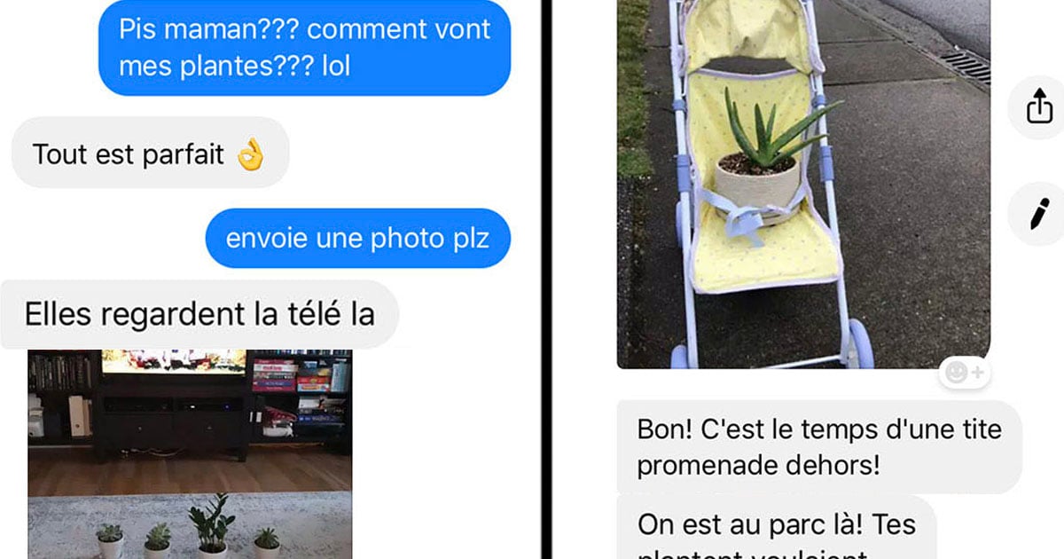 Une fille au Québec demande à sa mère de garder ses plantes et elle reçoit des textes hilarants