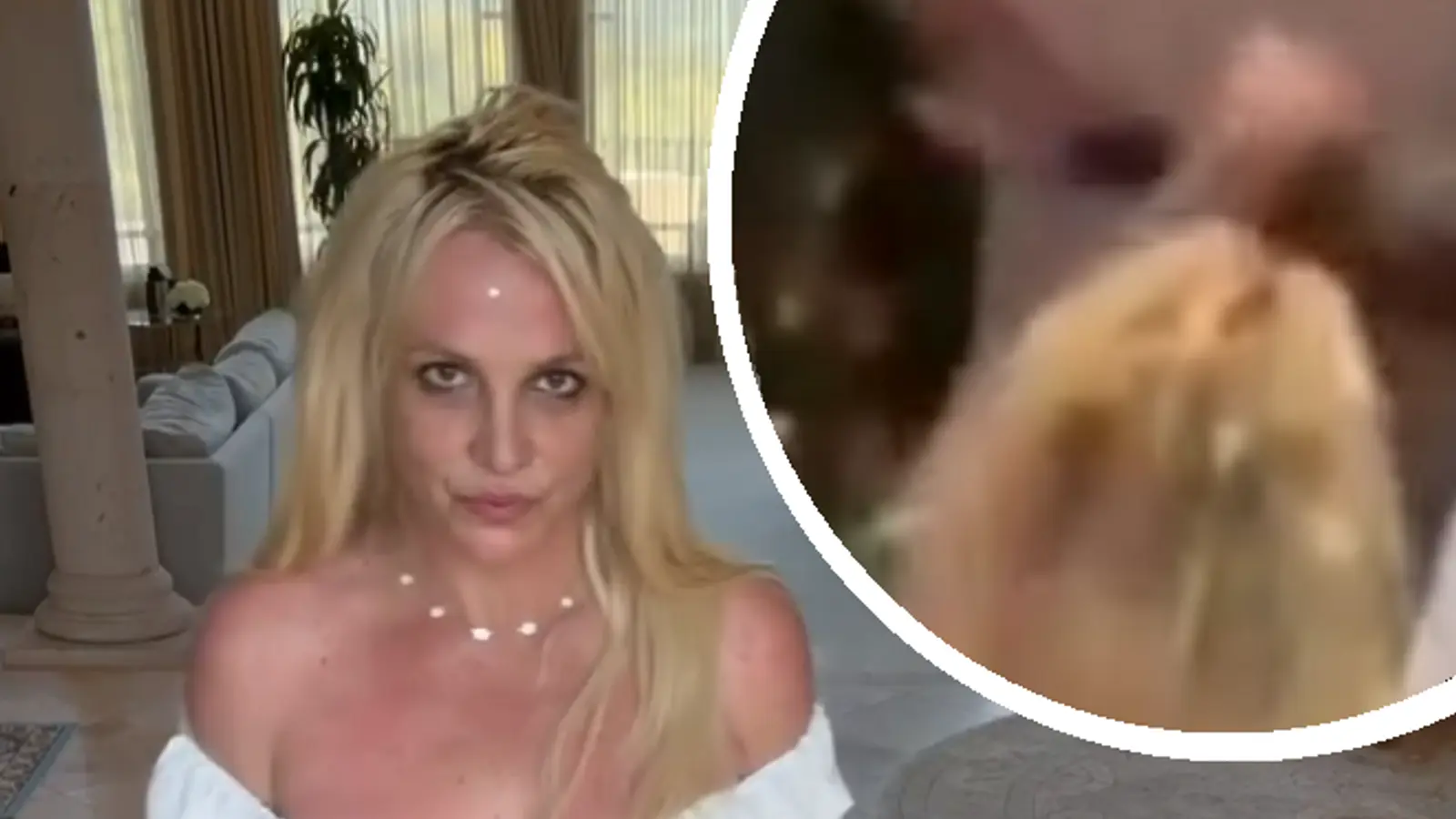 Un garde du corps dans l’eau chaude après avoir frappé Britney Spears au visage